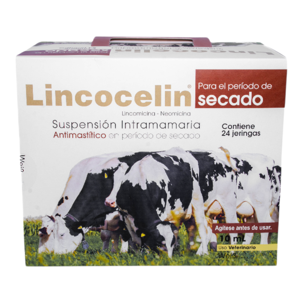 LINCOCELIN ® SECADO