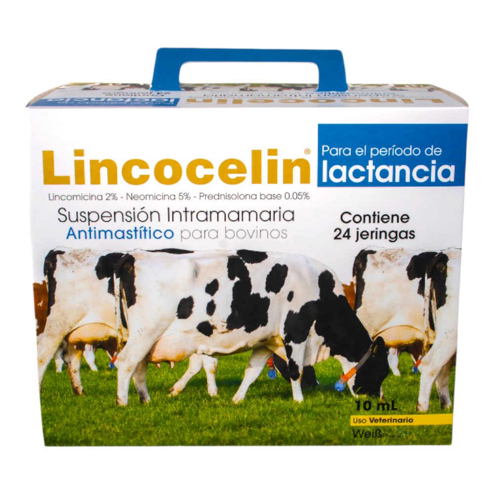 LINCOCELIN ® LACTANCIA